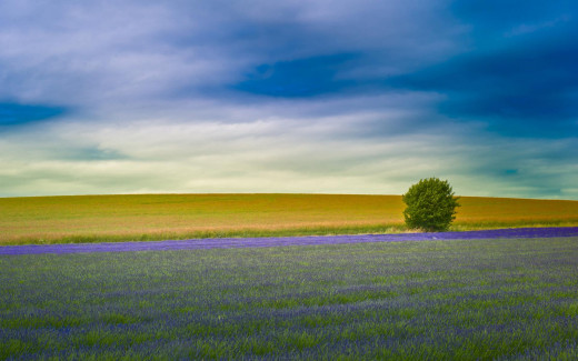 991747 (a): :1920x1200